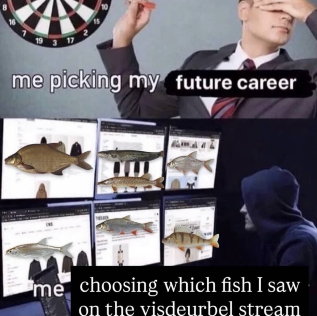 Screenshot of a meme showing someone comparing different fish species on screens to determine which fish was seen during the Fish Doorbell livestream.