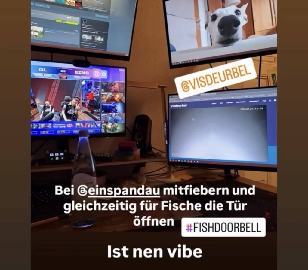 Screenshot of an Instagram post showing multiple screens with a livestream, entertainment and the Fish Doorbell, with the text: “Watching along and opening the door for fish at the same time. That’s a vibe.”