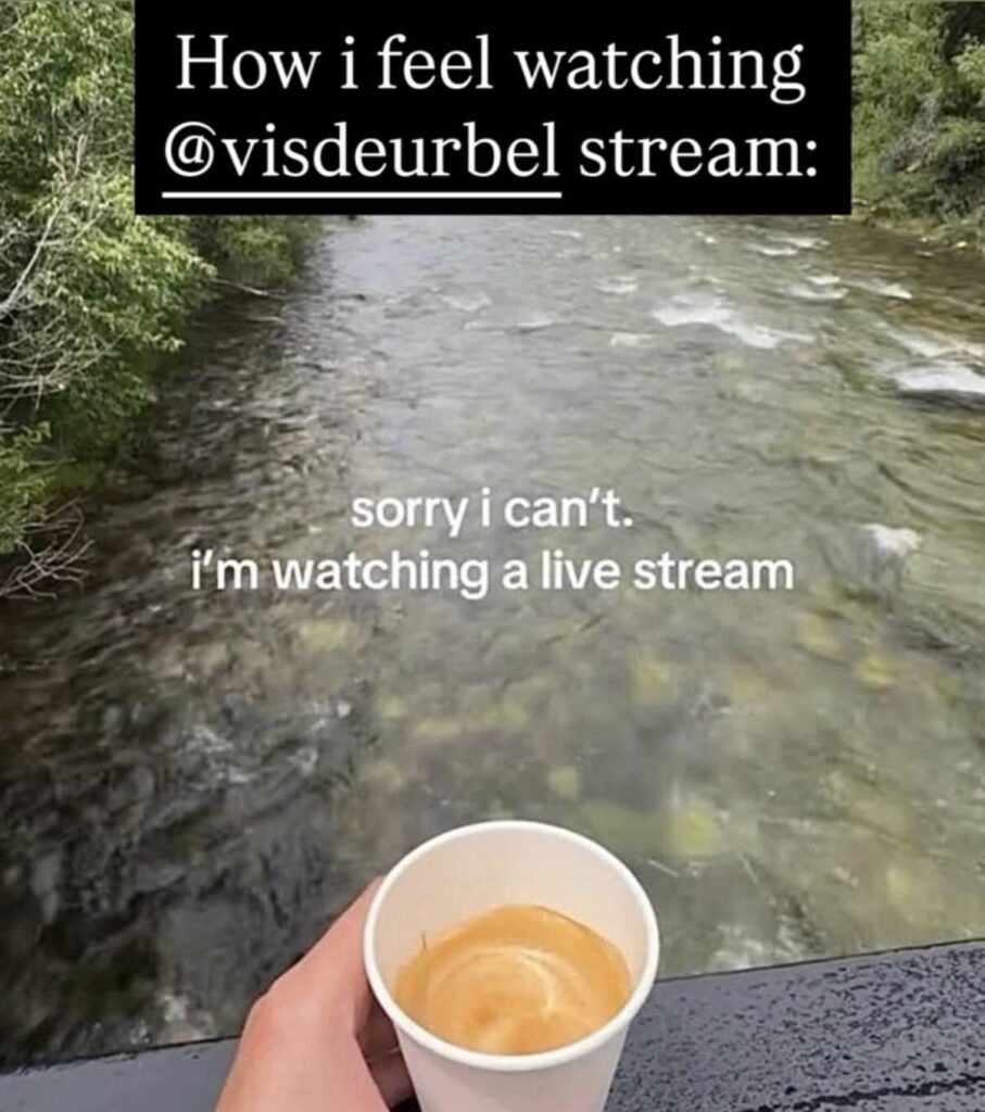 Screenshot of an Instagram Story with the text “How I Feel Watching @visdeurbel Stream. Sorry I Can’t. I’m Watching a Live Stream”, showing someone watching a stream while looking at a creek with a cappuccino.